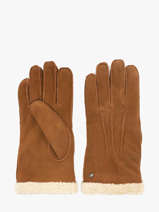 Handschoenen Isotoner Bruin women gloves 68451