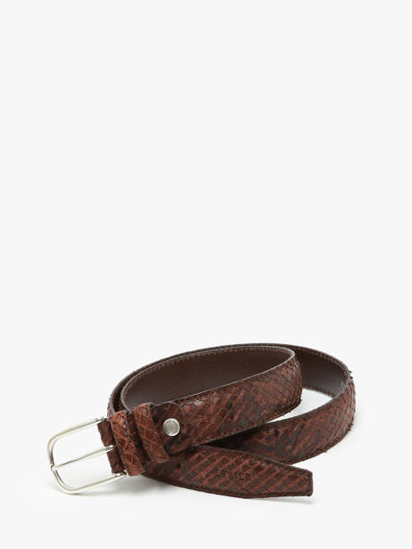 Riem Etrier Bruin bride EBRI711C ander zicht 3